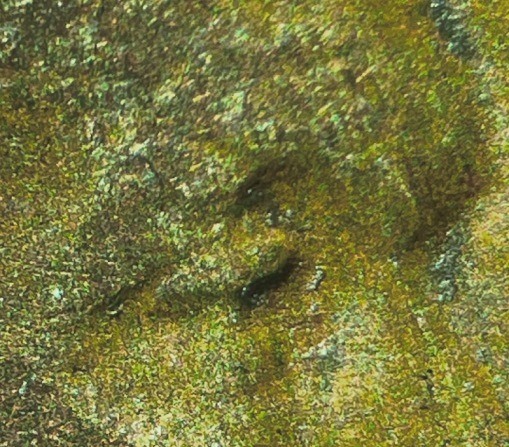 1942-Lincoln-Cent-DDO-FS-101?