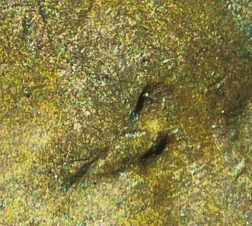 1942-Lincoln-Cent-DDO-FS-101?