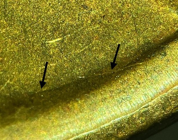1935-Lincoln-Cent-DDO-FS-101?