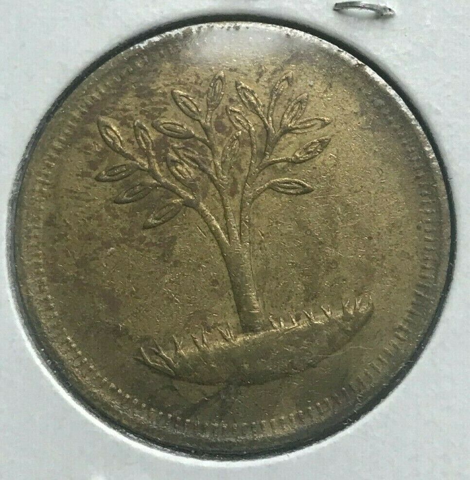 Can-Anyone-Identify?--Bronze-24mm-Tree-Apple?--Fruit?