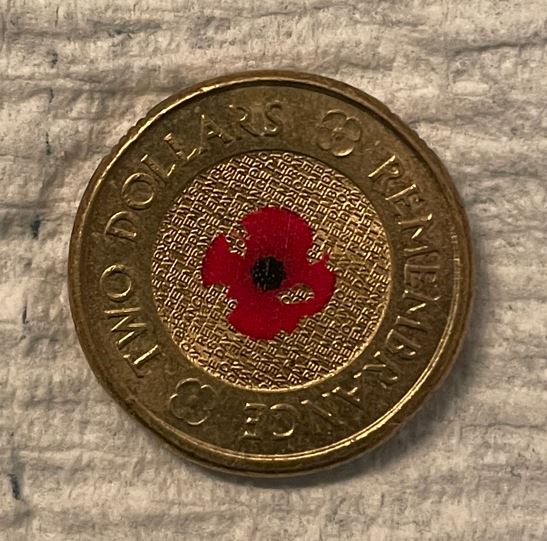 Concentration-Of-Red-Poppies-And-Coronations-In-Each-Australian-City-Found-By-Noodlers?