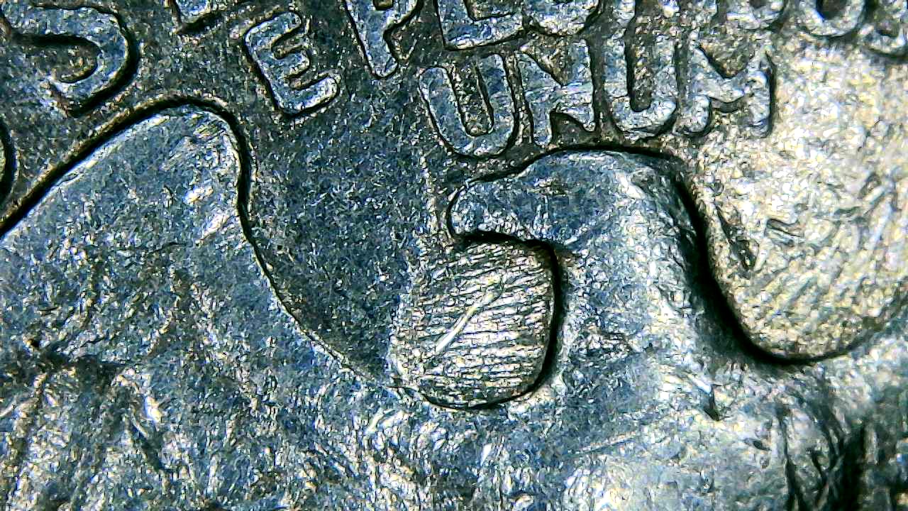 OK-I-Have-A-Different-1981-P-Quarter-Is-This-The-Spitting-Eagle-That-Was-A-Big-Thing-A-While-Back