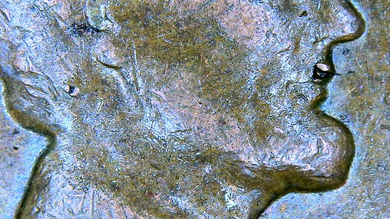 1964-D-Cent-Is-This-A-Small-Die-Chip-On-The-Upper-Lip