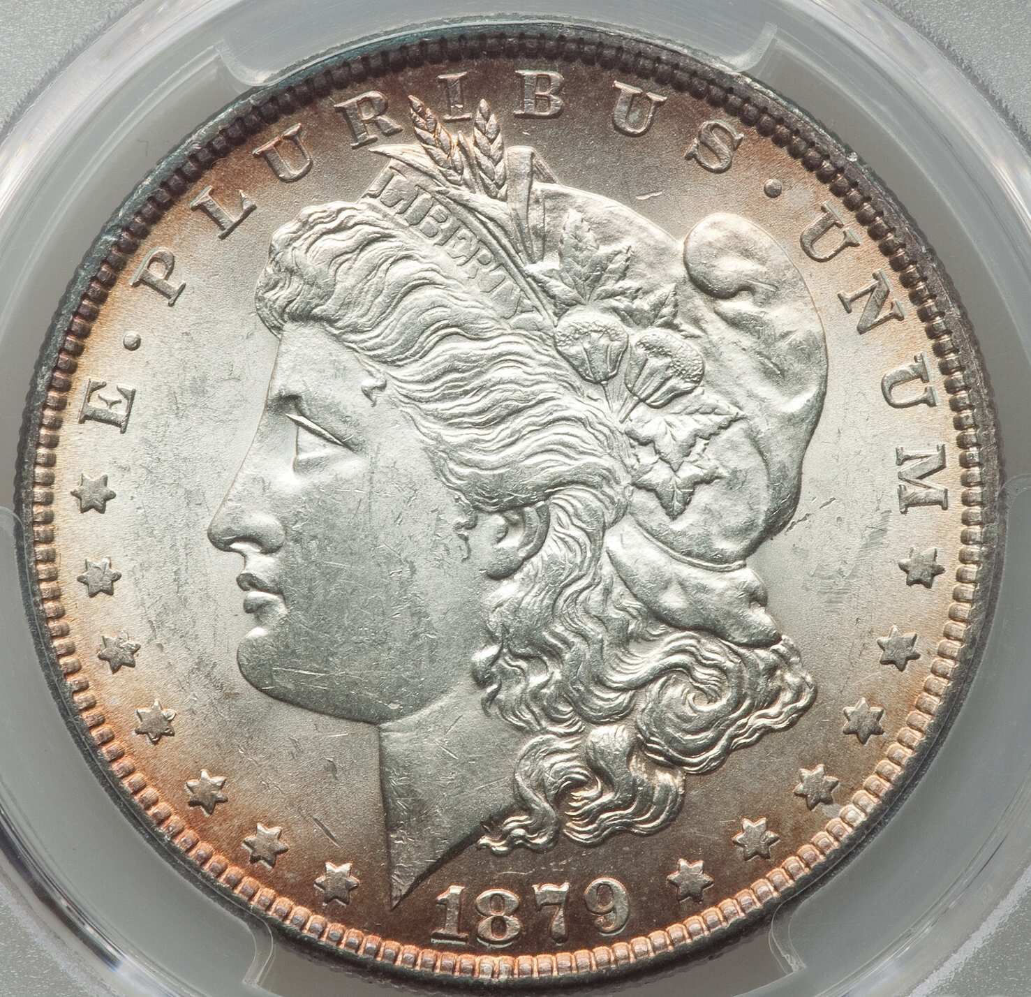 1879-Morgan-PCGS:-Opinons-Humbly-Solicited