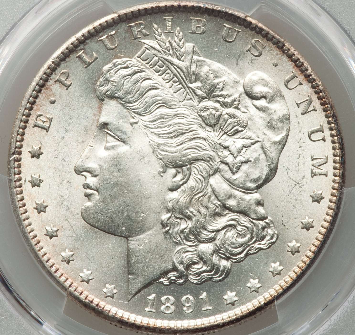 Imperfections-Can-Be-Endearing-1891-S-Morgan,-PCGS