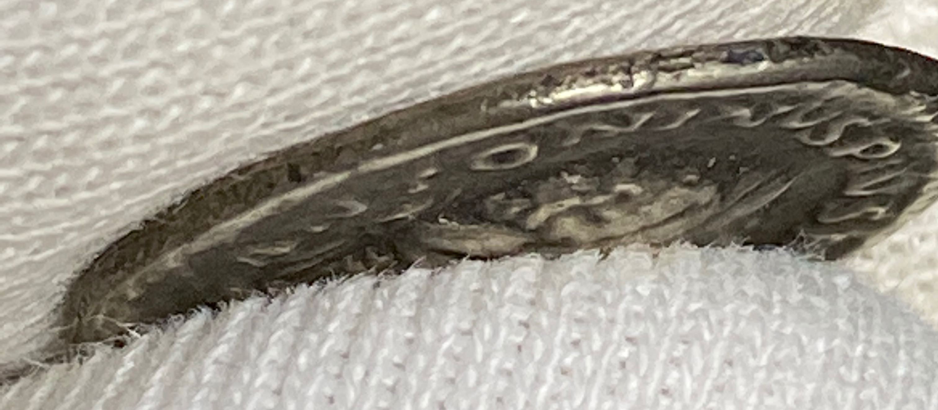Caracalla-Denarius---Authentic-Or-Fake?