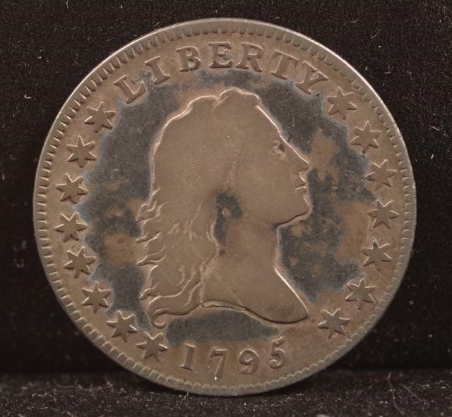 1795-Flowing-Hair-Half-Dollar,-What-Do-You-Think?