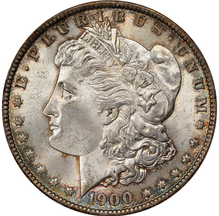 1900-Morgan-Dollar,-What-Would-You-Grade-It?