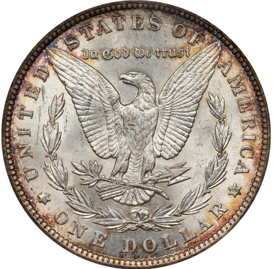 1900-Morgan-Dollar,-What-Would-You-Grade-It?