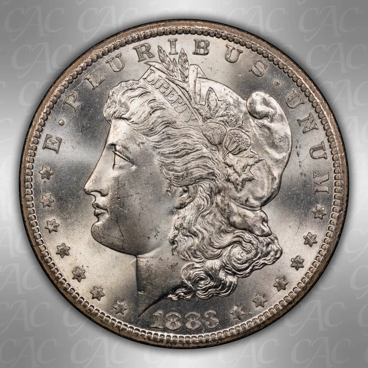 1883-CC-GSA-$1:--You-Vs-CACG