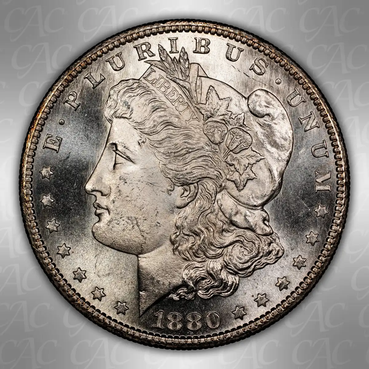 1880-S-$1:--You-Vs.-CACG