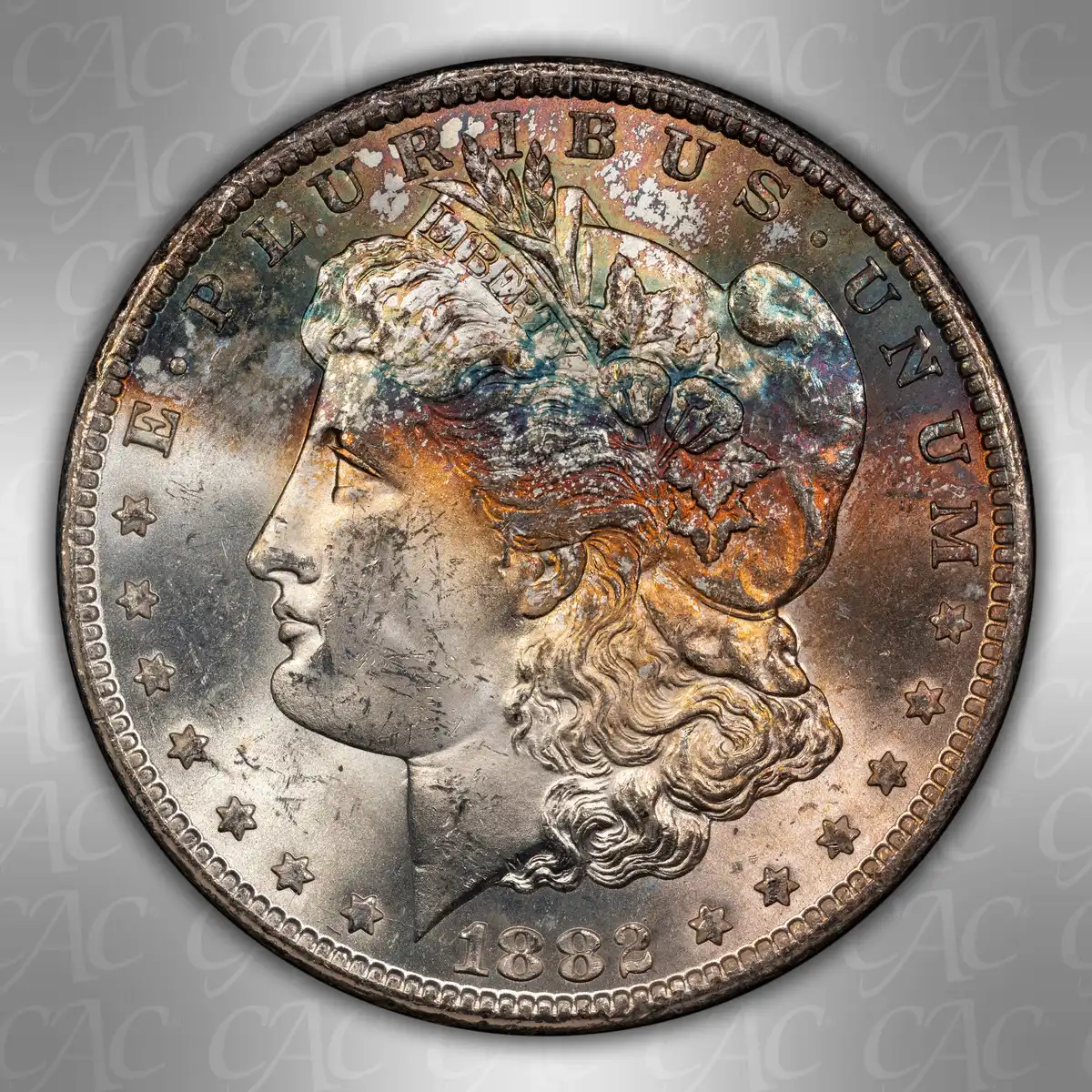 1882-CC-GSA-$1:-You-Vs.-CACG-#2