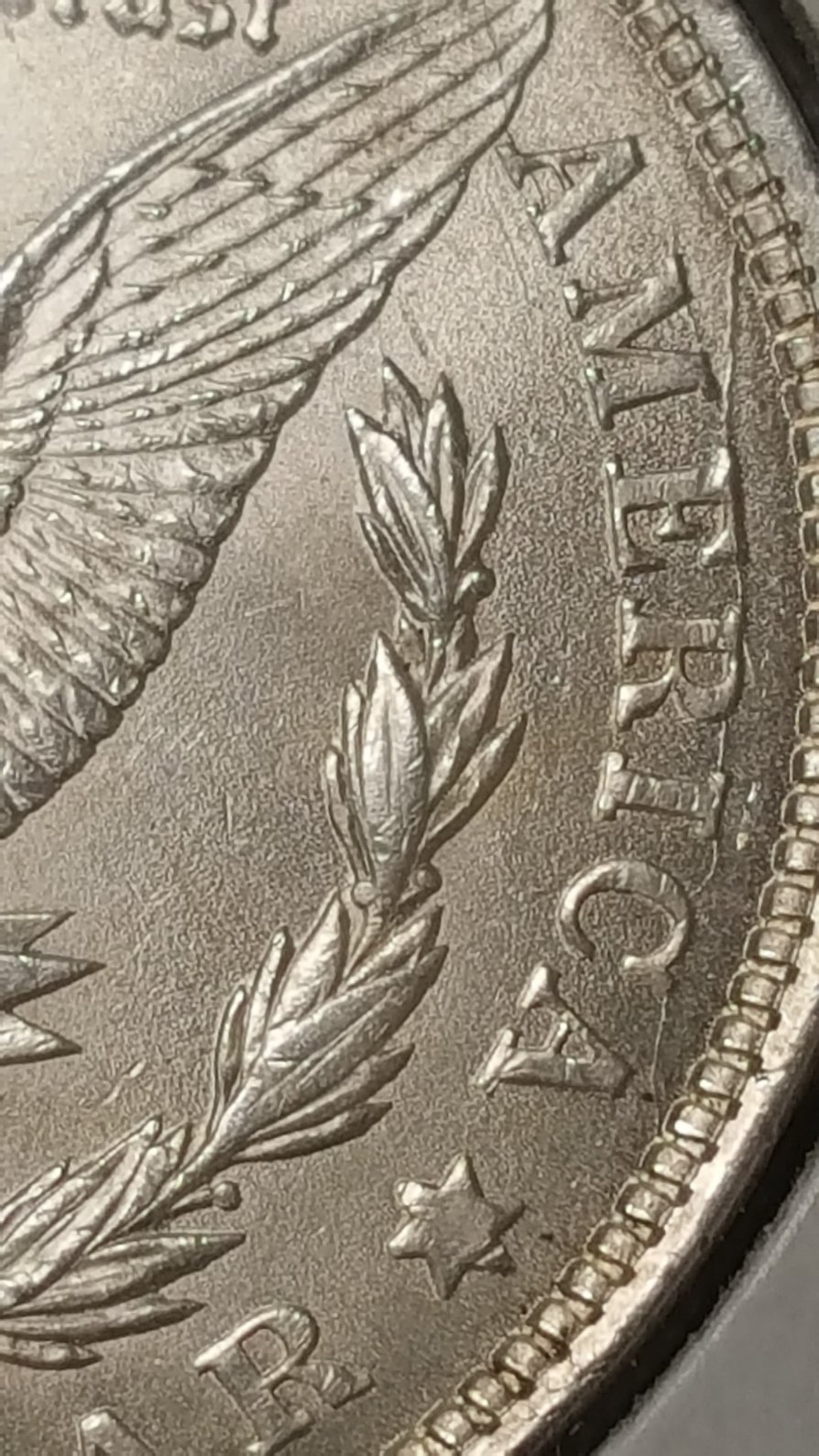 1921-P-Morgan-Dollar.-What-VAM-Is-It?-New?--What-Kind-Of-Grade?-Any-Info-Ty