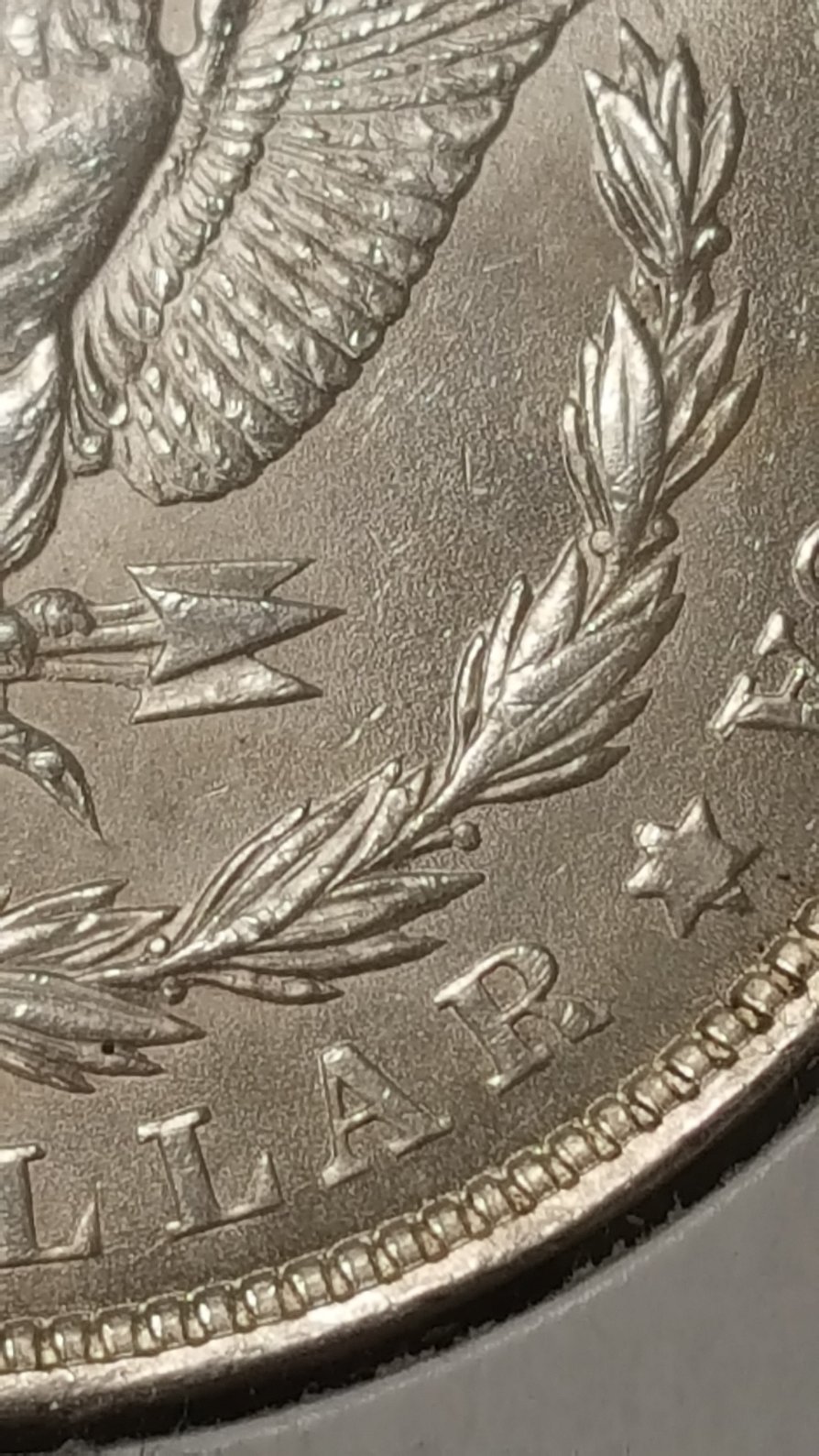 1921-P-Morgan-Dollar.-What-VAM-Is-It?-New?--What-Kind-Of-Grade?-Any-Info-Ty