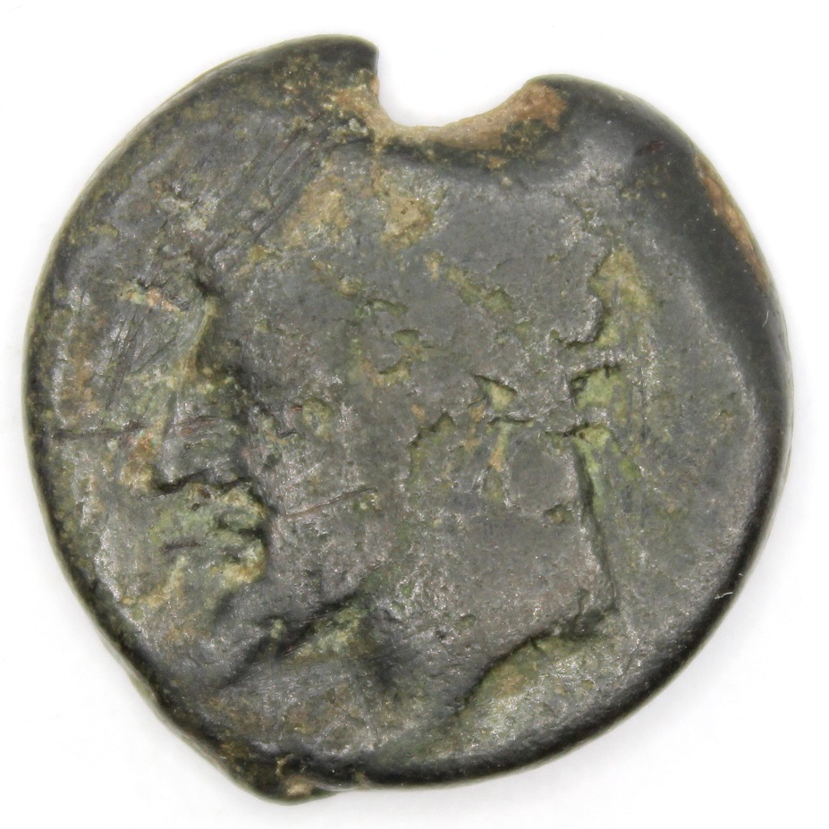 Identification-Help-Please