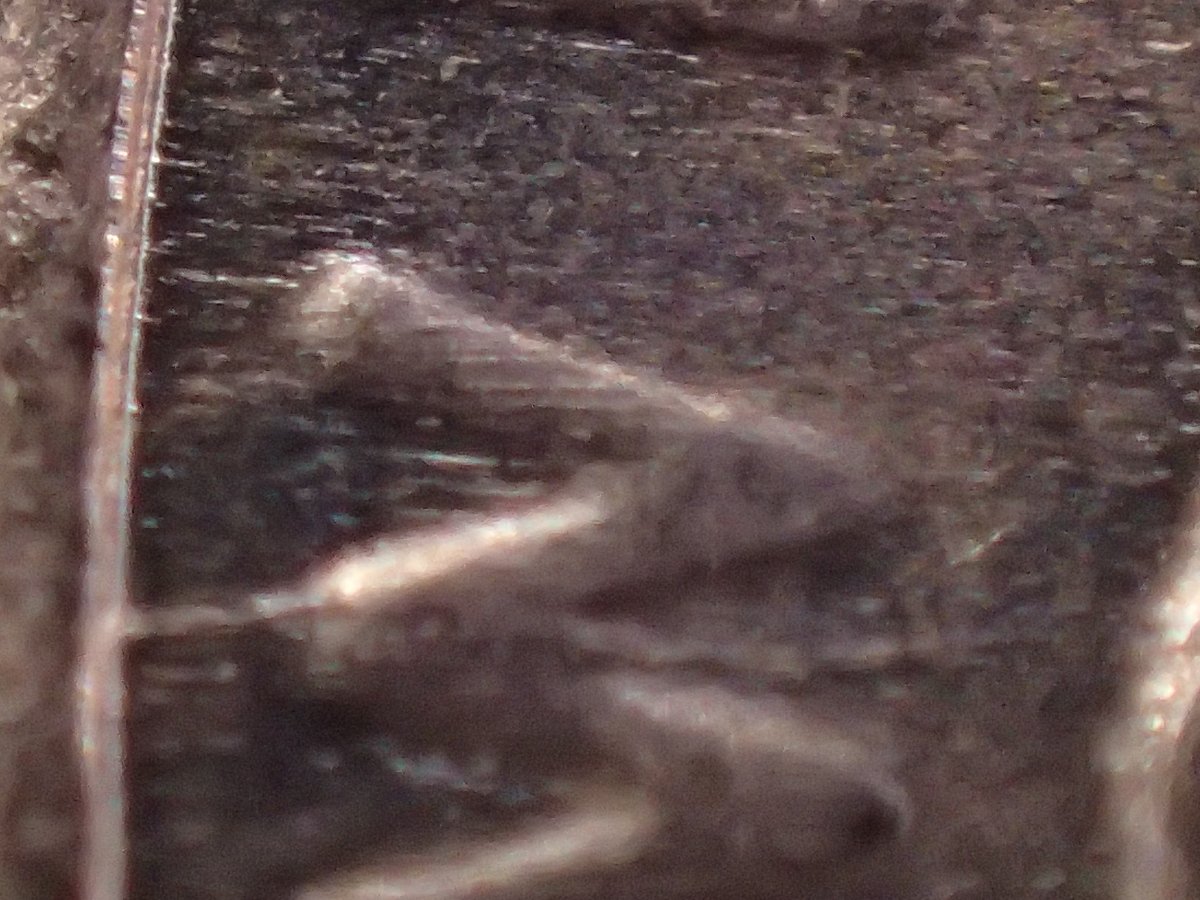 2018-D-Lincoln-Shield-Spiked-Head