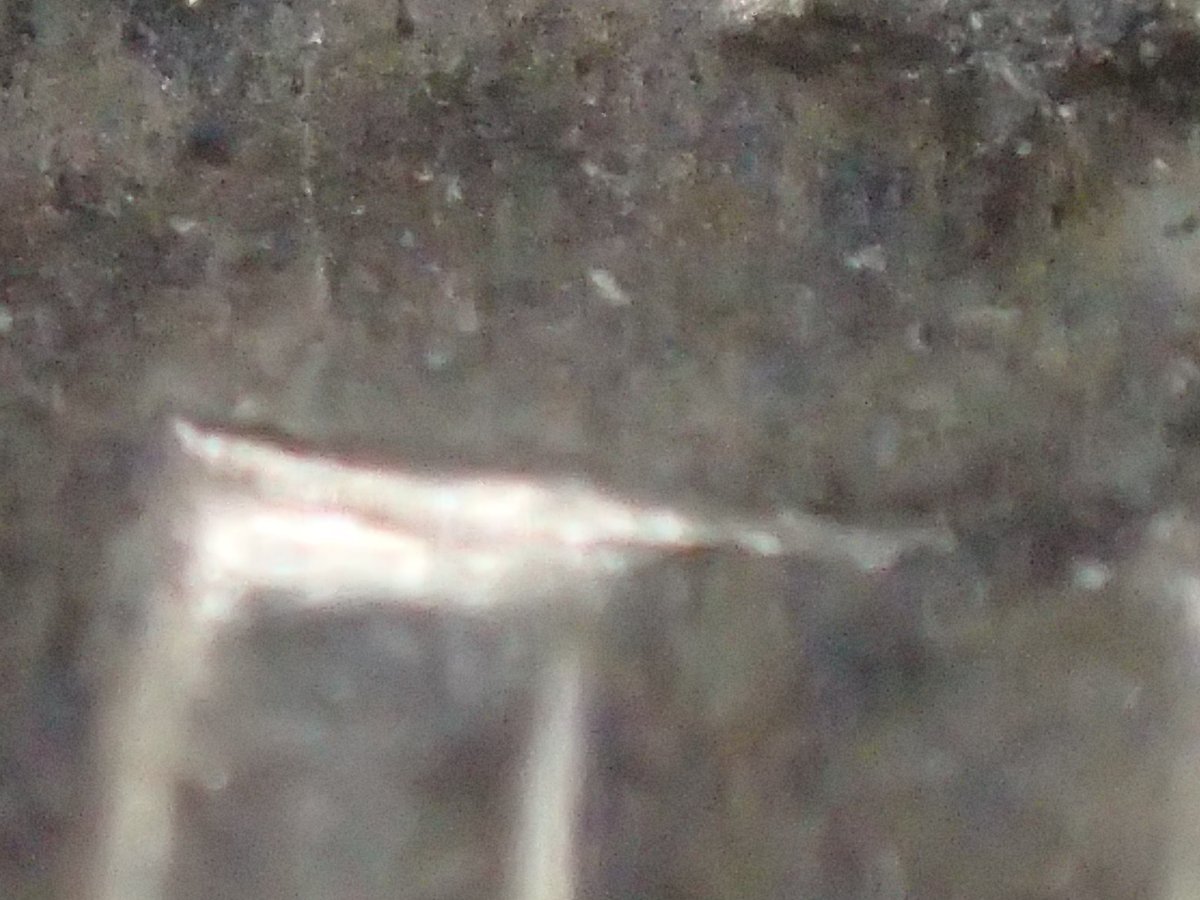 1972-Kennedy-Half-Die-Chip?