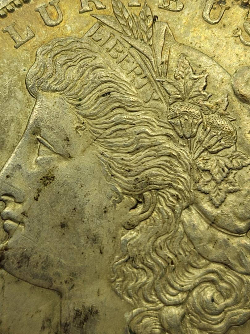 1921-S-Morgan-Dollar,-Potential-Zerbe?