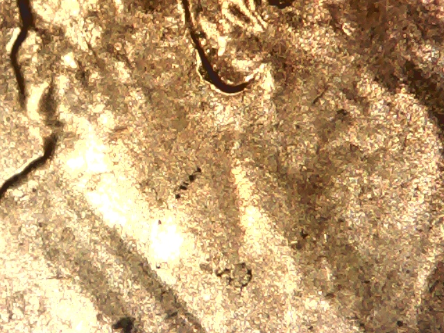 2016-D-Lincoln-Shield-Cent-Doubled-Die-Ear