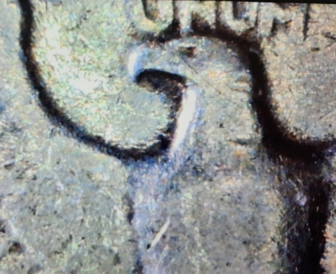 1944-P-Washington-Quarter-PMD?