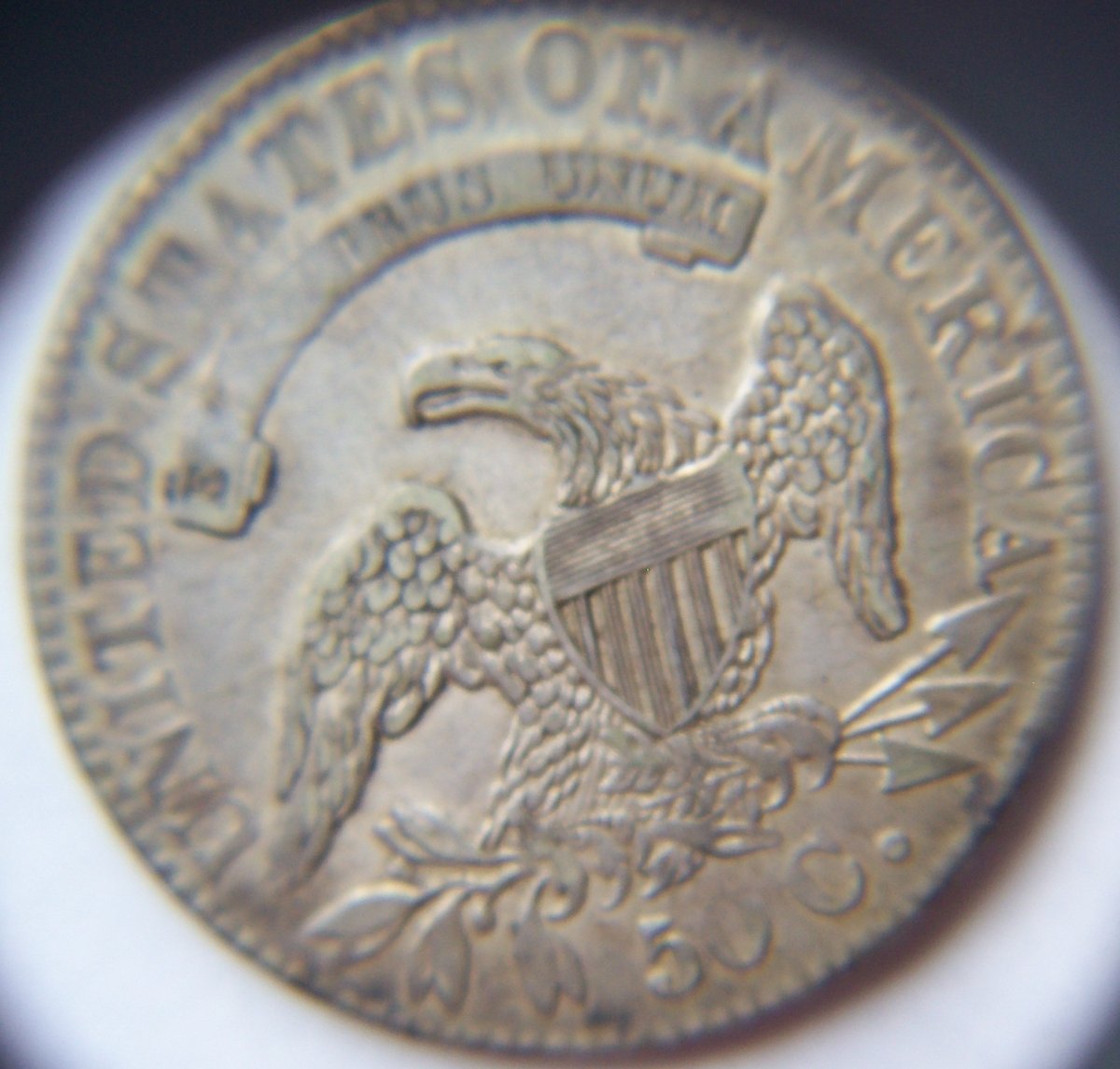 Continuing-List-To-Show-Everyones-Latest-Acquisitions
