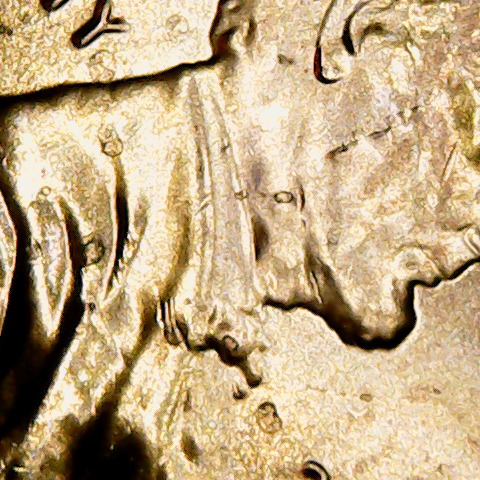 Lincoln-Cent-Double-Bow-Tie?