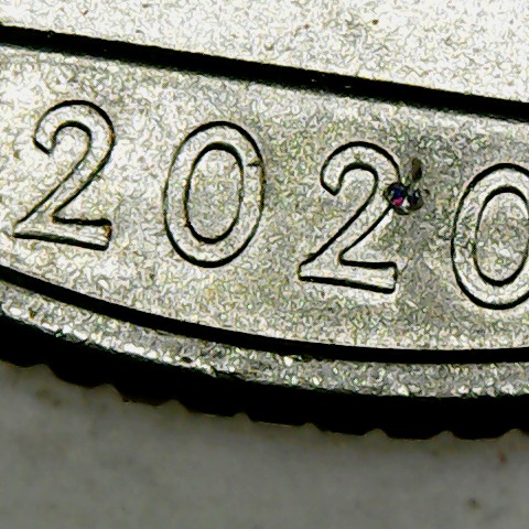 2020-P-Samoa-DDR-Quarter-?