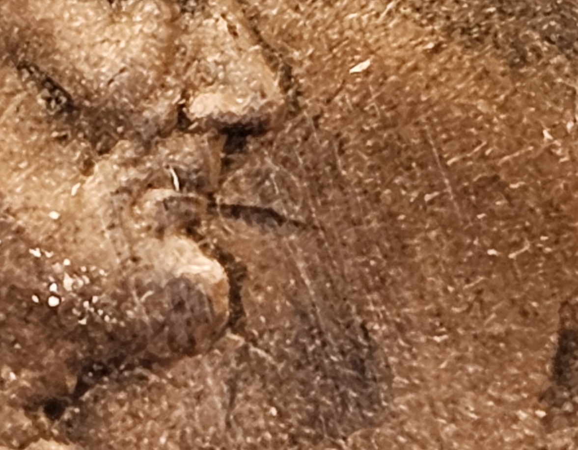 Slight-Lamination-Error?-2022-D-Penny