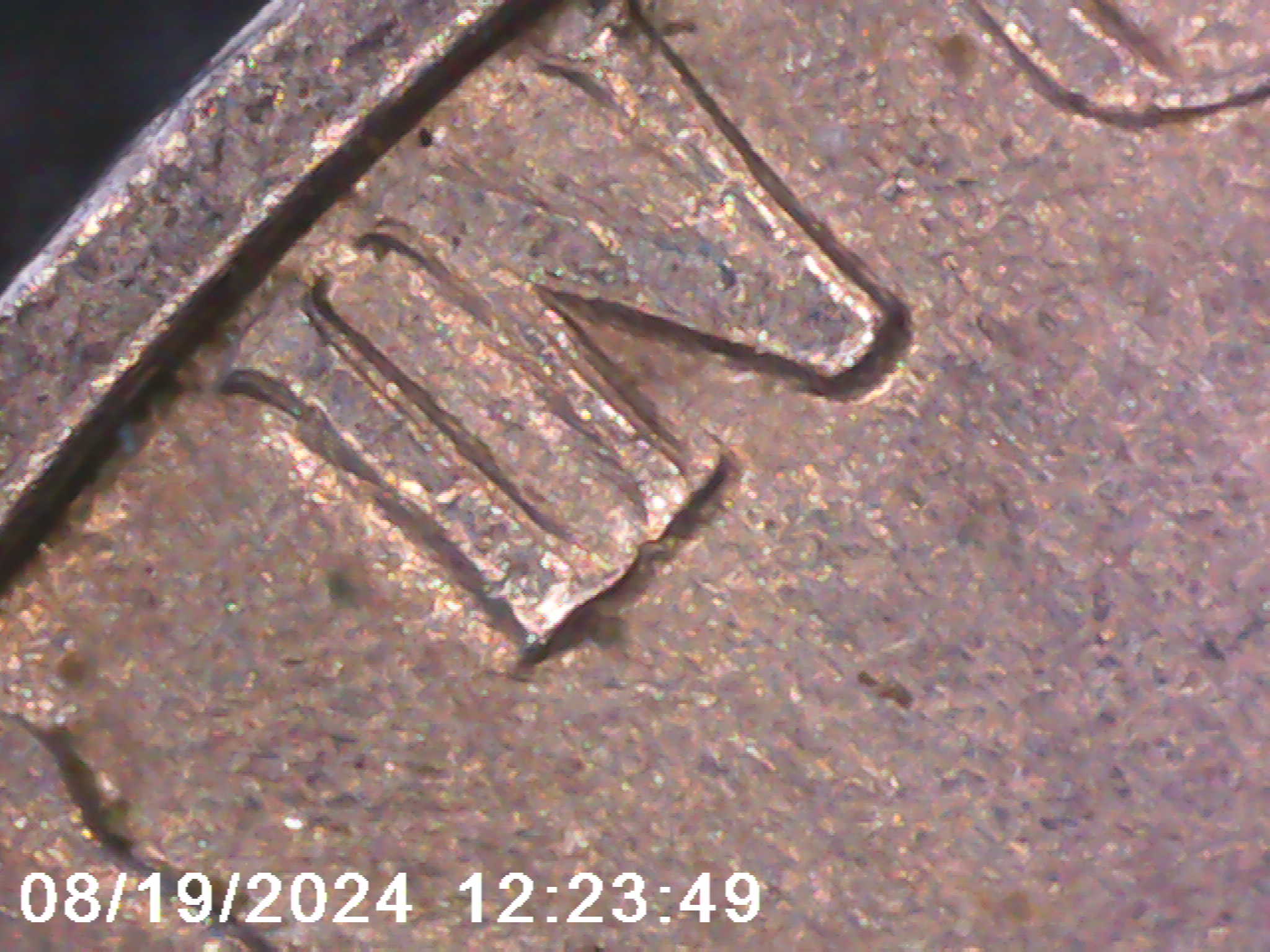 1960-Nickel-DDR/Ddo.-Opinion-Please