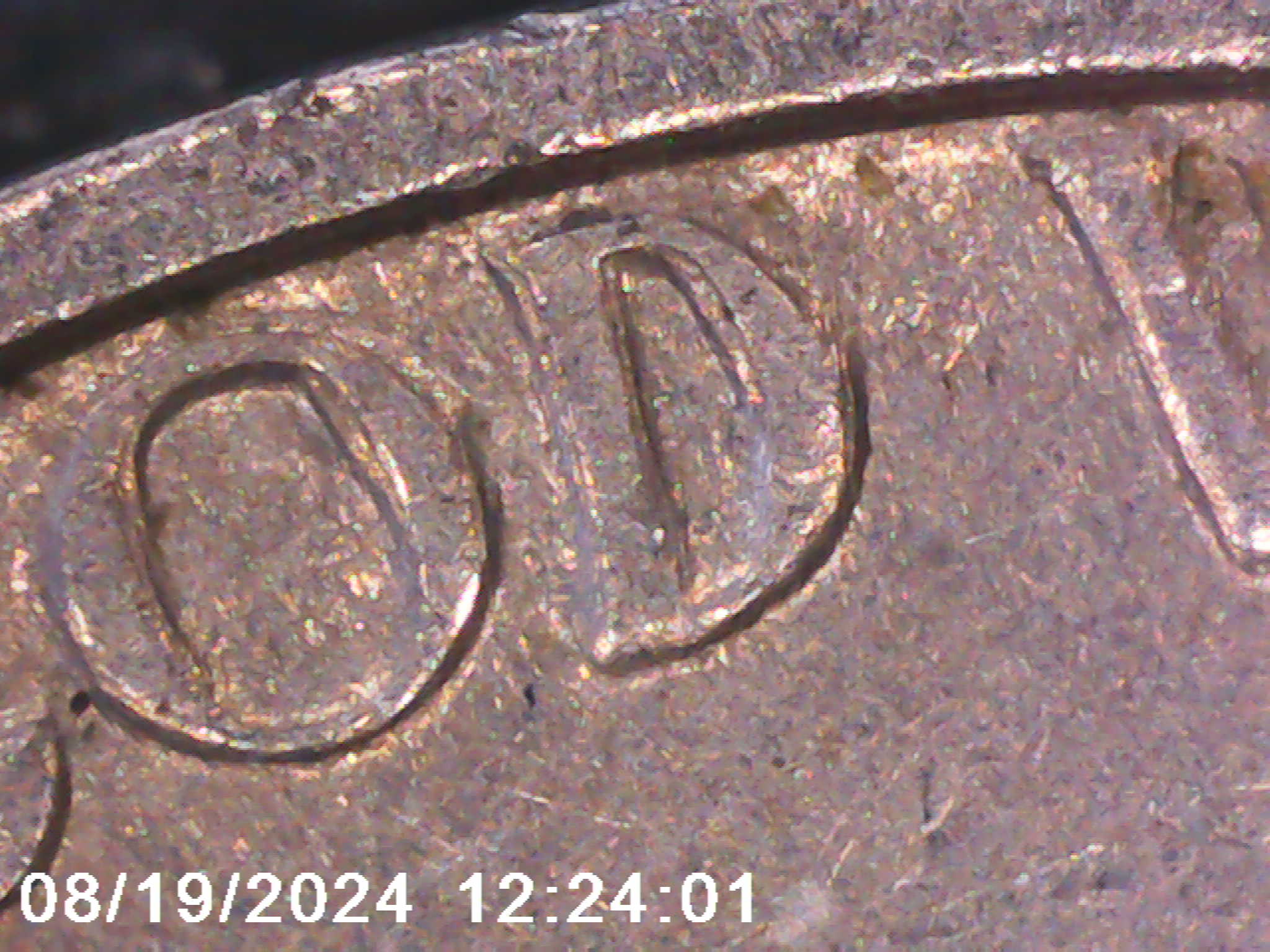 1960-Nickel-DDR/Ddo.-Opinion-Please