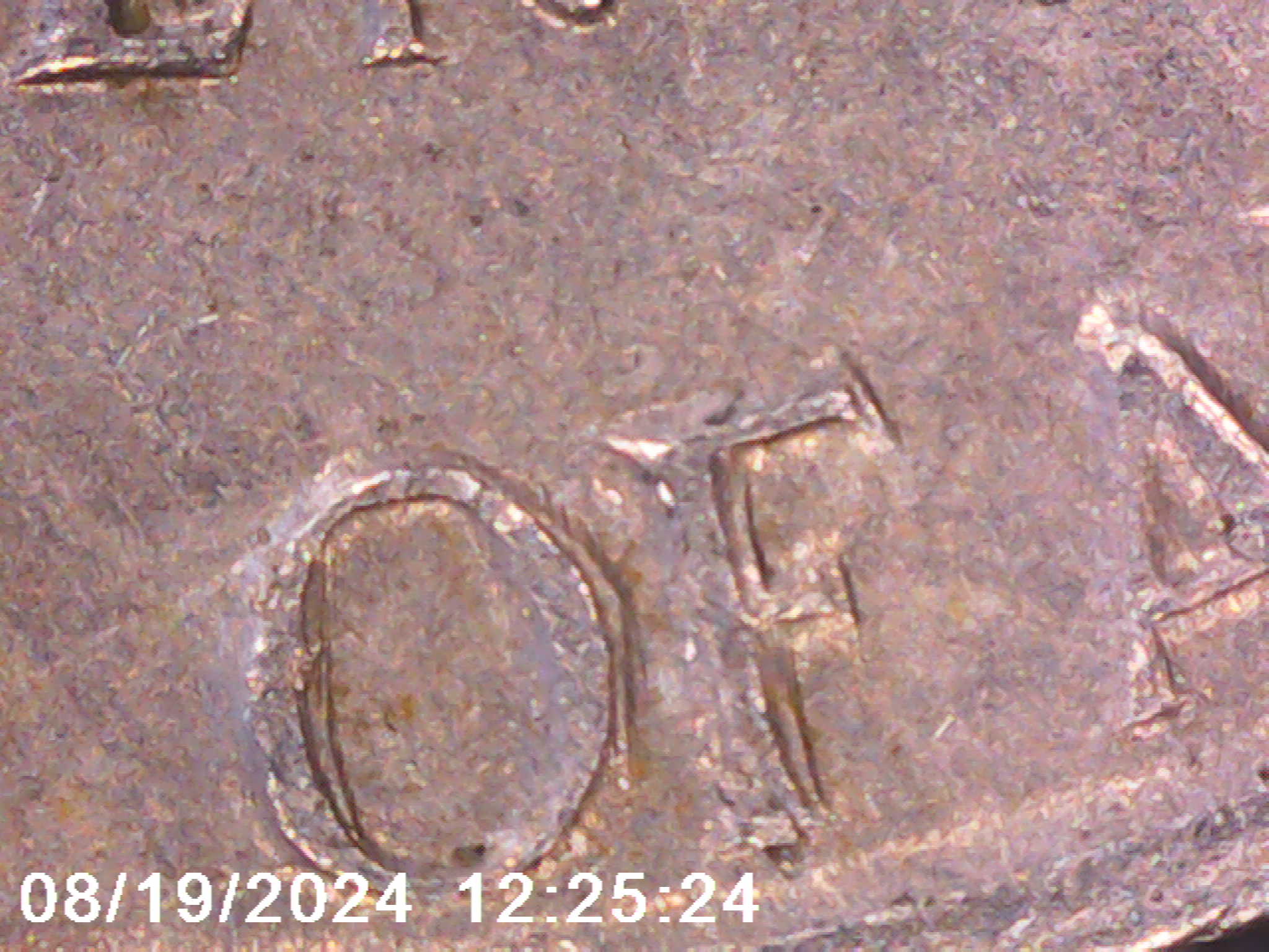 1960-Nickel-DDR/Ddo.-Opinion-Please