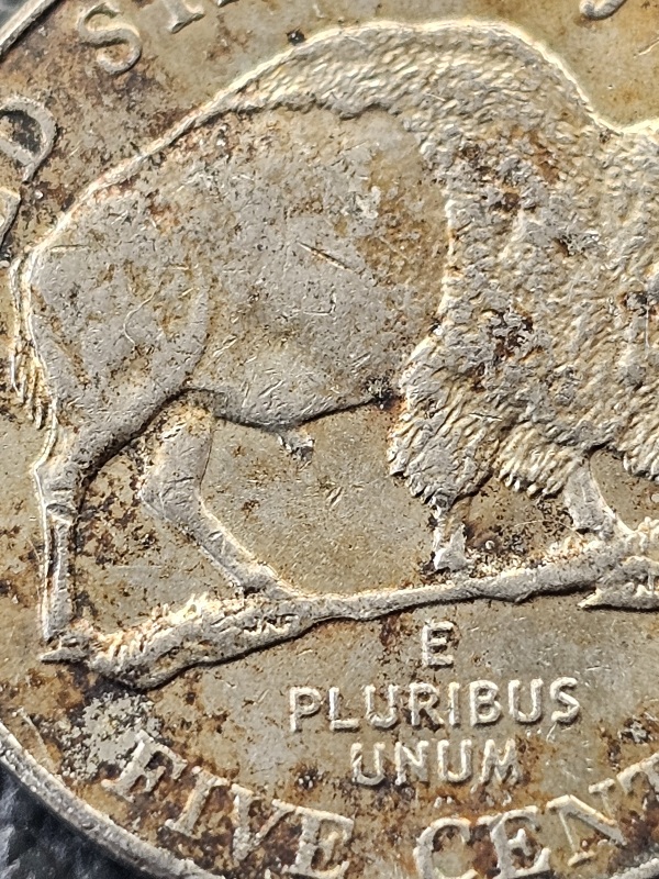 2005-Nickel-Detached-Bison-Leg-Or-Severe-Damage?
