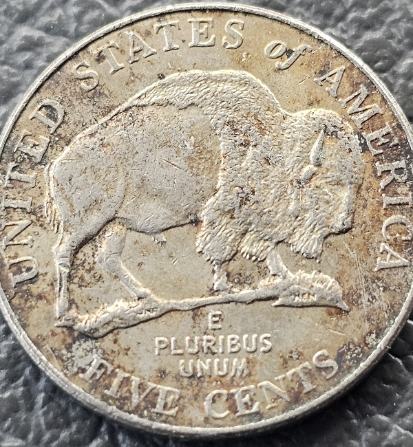 2005-Nickel-Detached-Bison-Leg-Or-Severe-Damage?