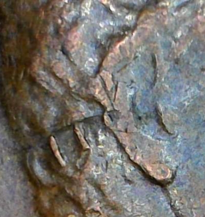 Cud-Question-On-Penny-And-Quarter