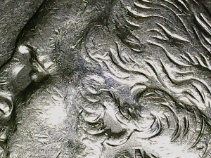 1995-P-Quarter-Missing-Details