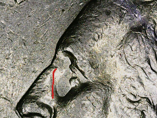 1995-P-Quarter-Missing-Details