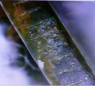 A-Neat-Little-Discovery-Could-This-Be-A-Copper--Washington-Quarter?