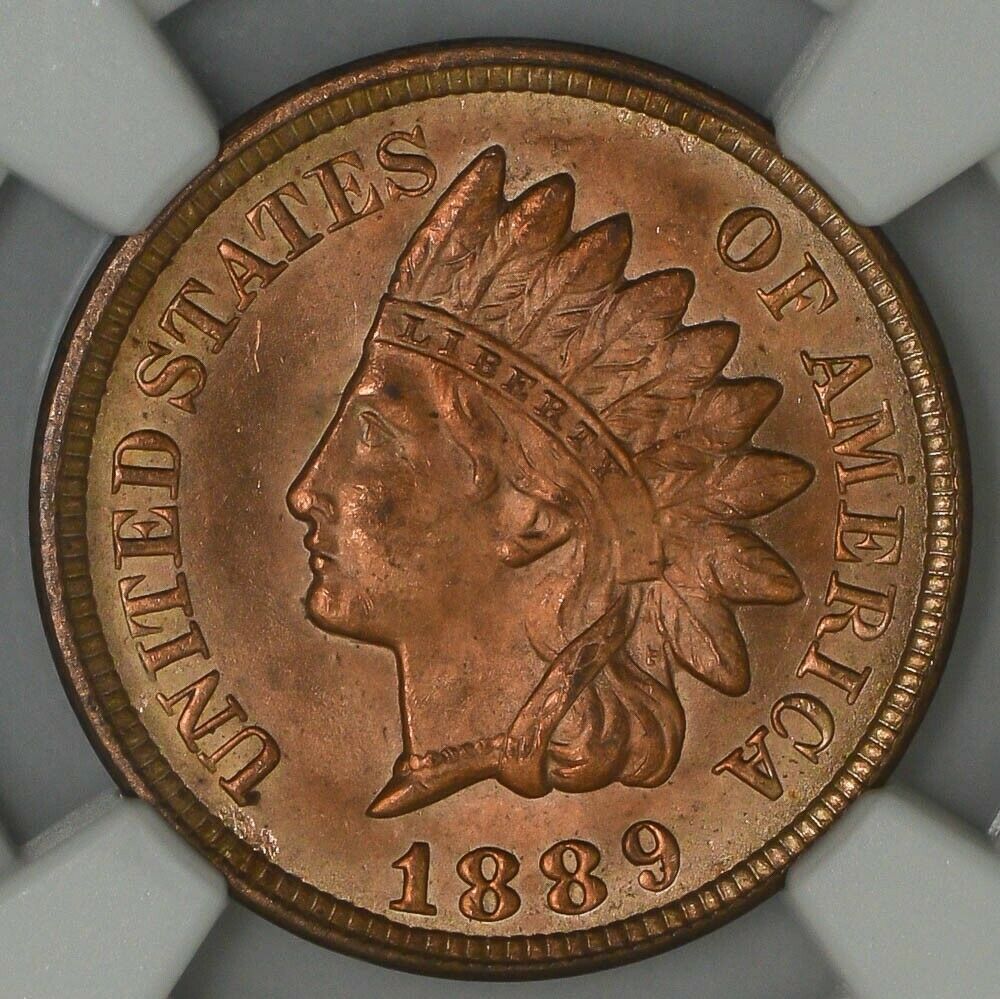 Guess-The-Grade---1889-Indian-Head-Cent