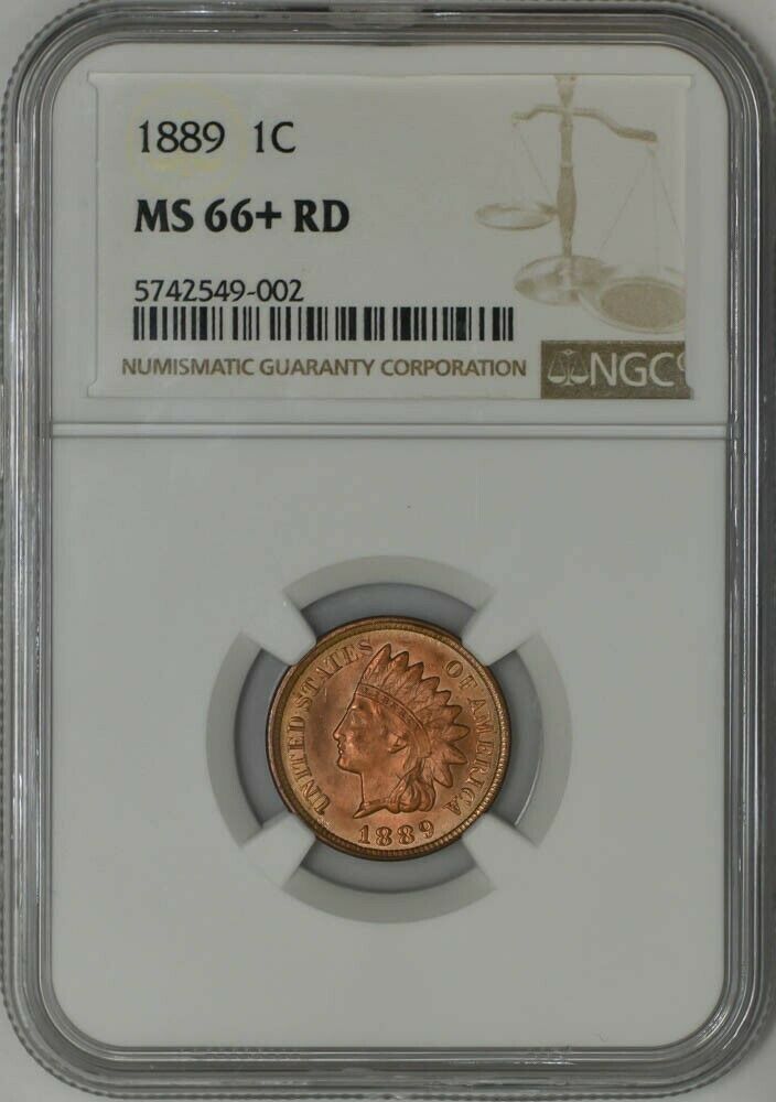 Guess-The-Grade---1889-Indian-Head-Cent