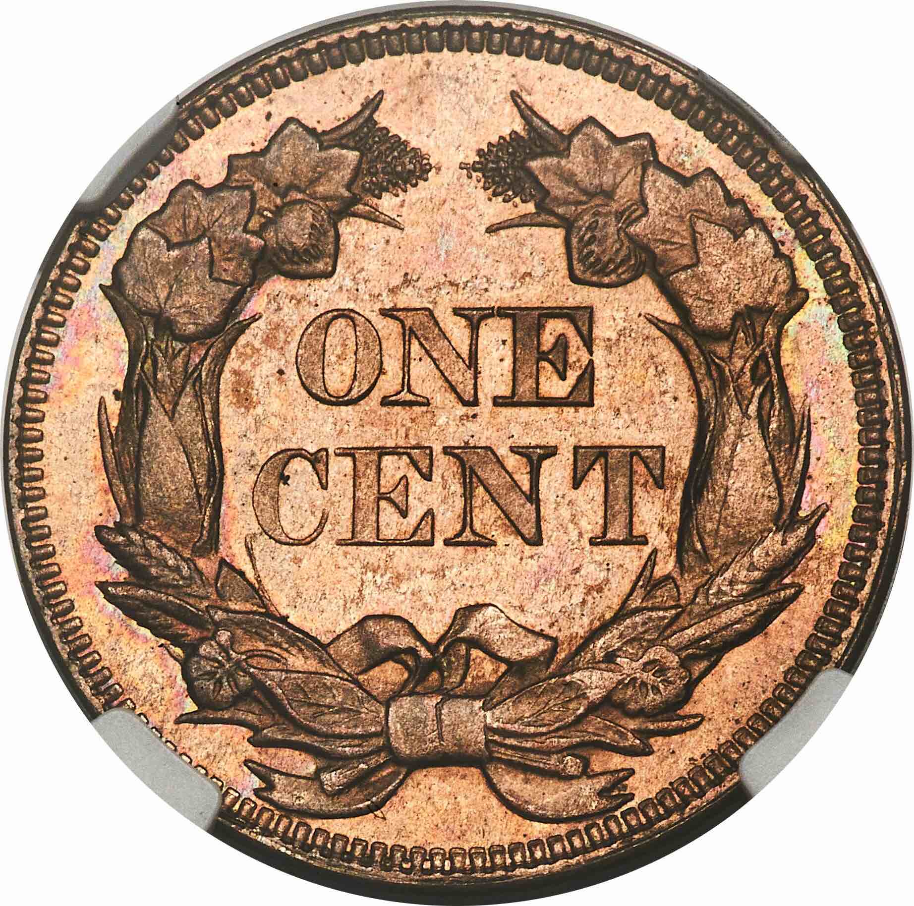 1858-Small-Letters-Flying-Eagle-Cent---Can-You-Identify-The-Variety?