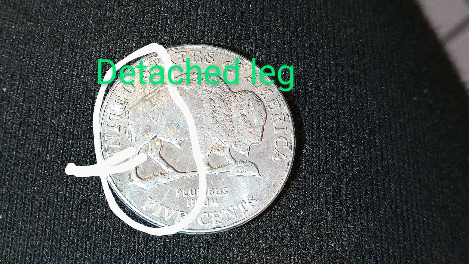 2005-Buffalo-Nickel-Detach-Leg-Syndrome?