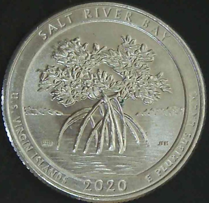 2020-D-Salt-River-Bay---Quarter-:-Possible-Doubling--Or-Nothing?