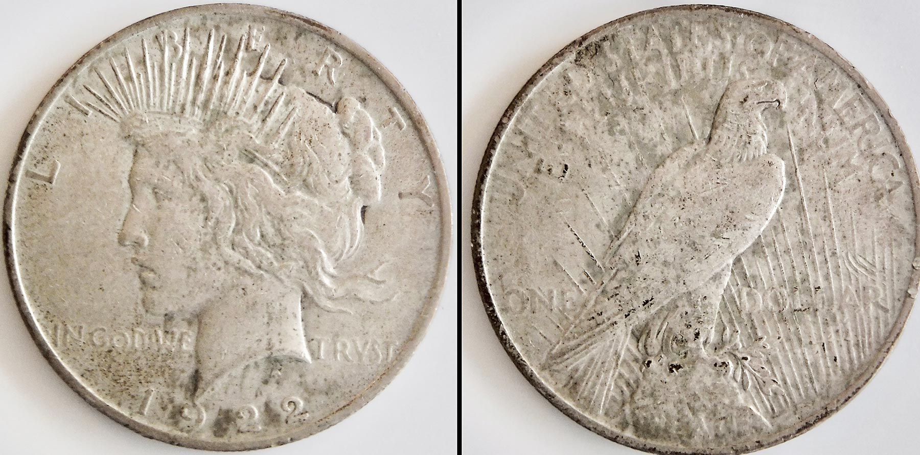 My-Peace-Dollars---New-Collector