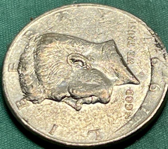 Question/Opinion/Education-On-My-Part-On-2-Half-Dollars-1991-And-1976