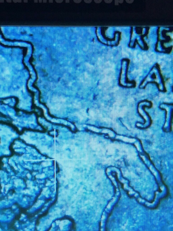 2004-P-Michigan-Quarter