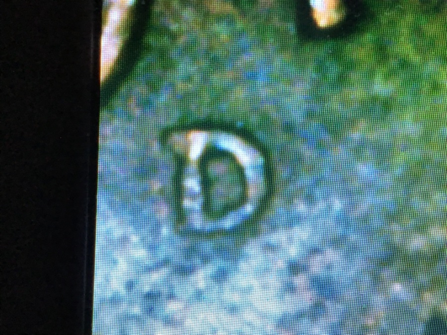 1944-D-Wheat-Penny-D/S?