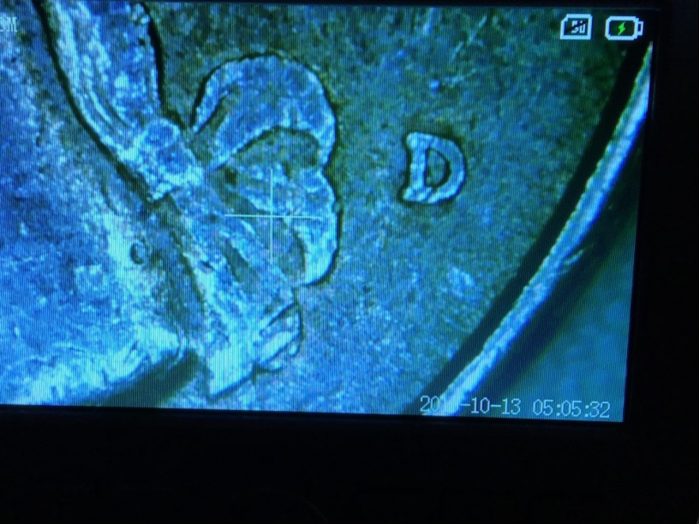 1990-D-Quarter---Spitting-Eagle?