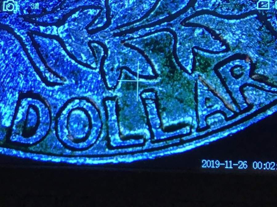 1982-D-Washington-Quarter---Spitting-Eagle-Error?