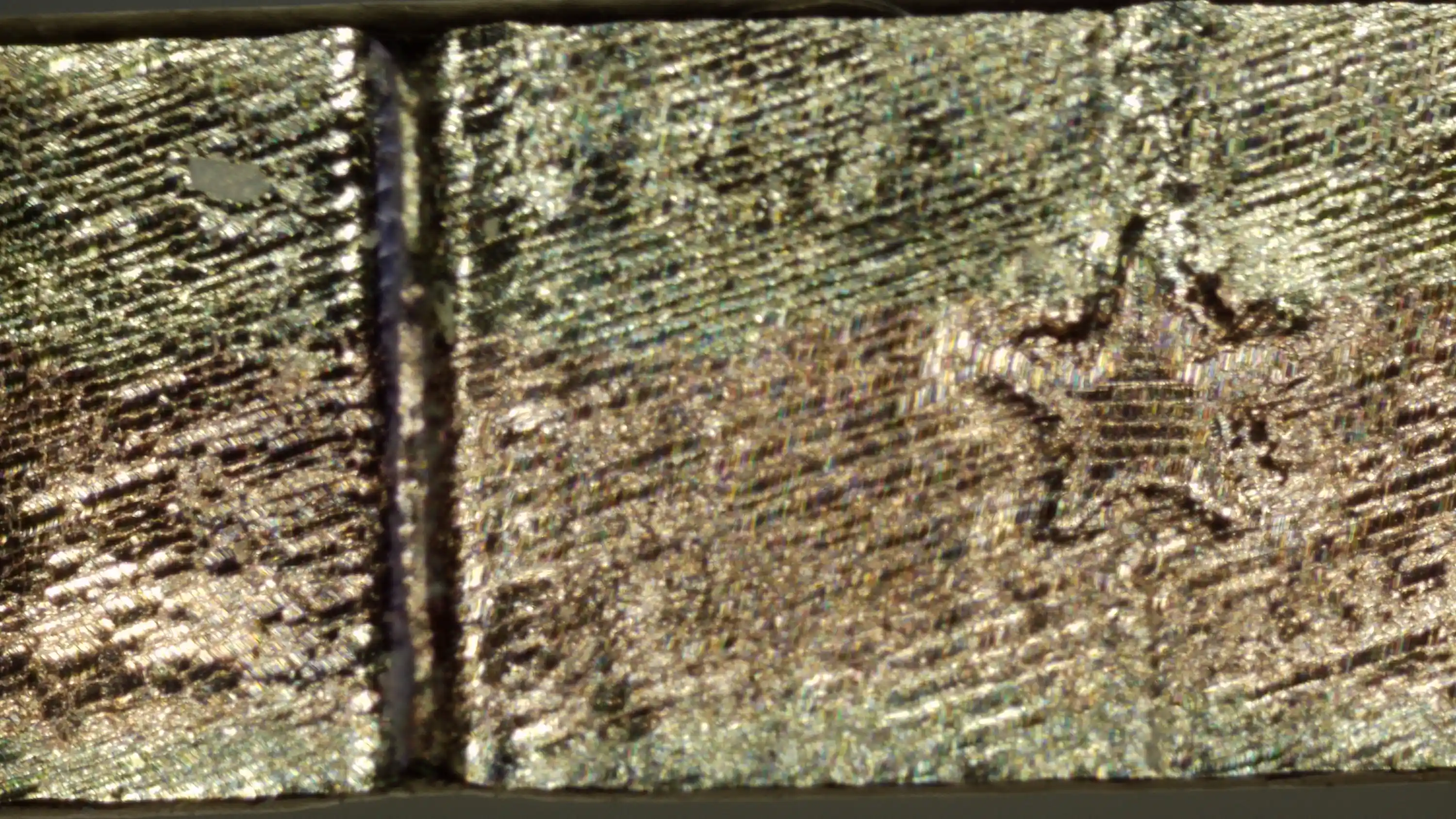 2025-S-Native-American-$1-Proof---Doubled-Edge-Lettering