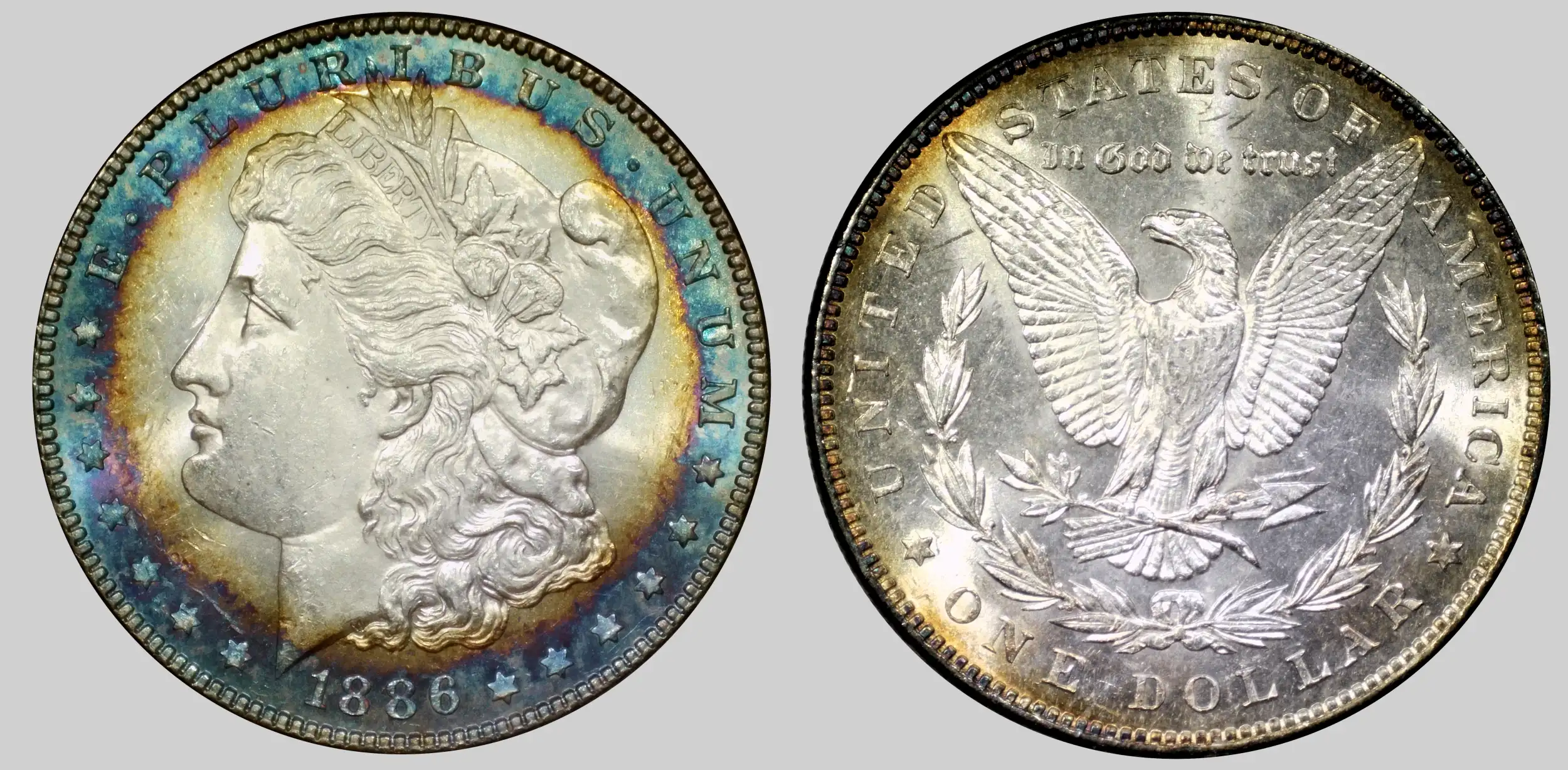 1886-Morgan-Dollar---Proof-Like-?